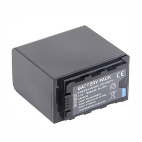 Panasonic VW-VBD78 Battery Pack