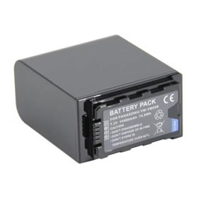 Panasonic VW-VBD98 Battery Pack