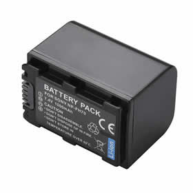 Sony NP-FH70 Battery Pack