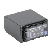 Panasonic Lumix BGH1 Batteries